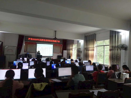 毗盧鎮舉辦計算機技能培訓活動，助力居民提升數字素養